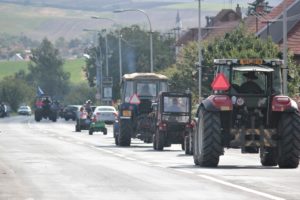 IMG_0294