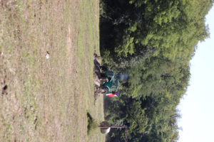 20210911_100007000_iOS