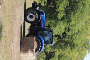 20210911_103326000_iOS