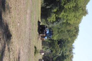 20210911_103420000_iOS